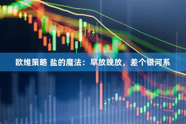 欧维策略 盐的魔法：早放晚放，差个银河系